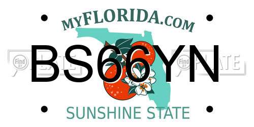 BS66YN Florida License Plate