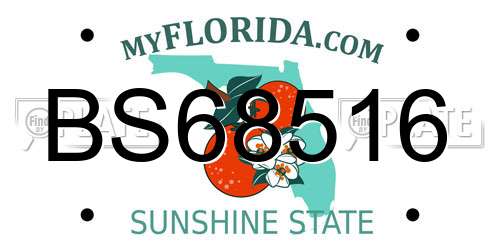BS68516 Florida License Plate