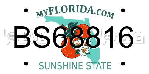 BS68816 Florida License Plate