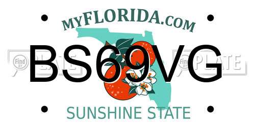 BS69VG Florida License Plate