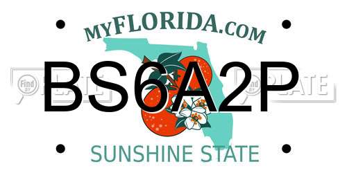 BS6A2P Florida License Plate