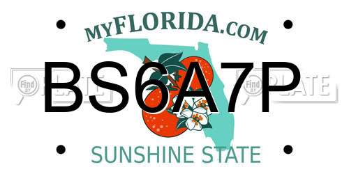 BS6A7P Florida License Plate