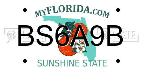 BS6A9B Florida License Plate