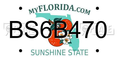 BS6B470 Florida License Plate
