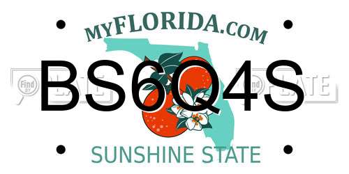 BS6Q4S Florida License Plate