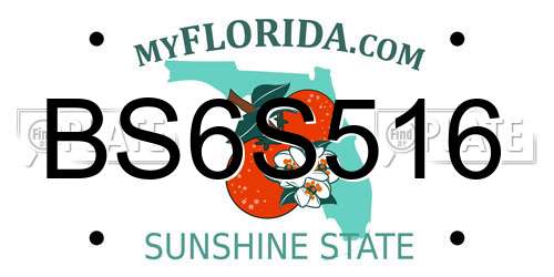 BS6S516 Florida License Plate