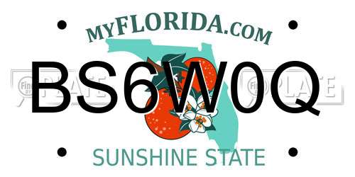 BS6W0Q Florida License Plate