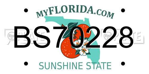 BS70228 Florida License Plate