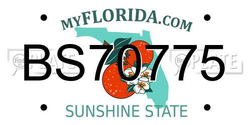 BS70775 Florida License Plate