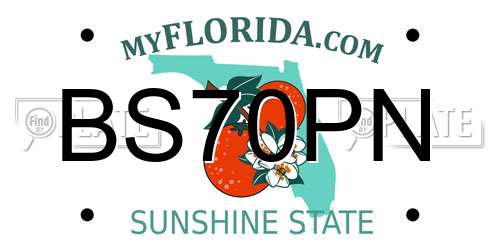 BS70PN Florida License Plate