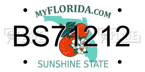BS71212 Florida License Plate