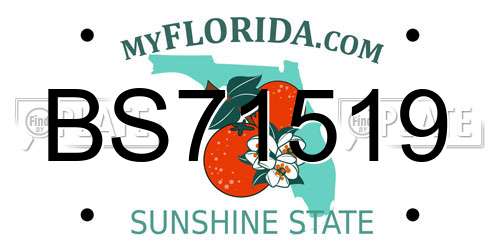 BS71519 Florida License Plate