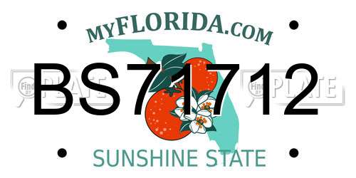 BS71712 Florida License Plate