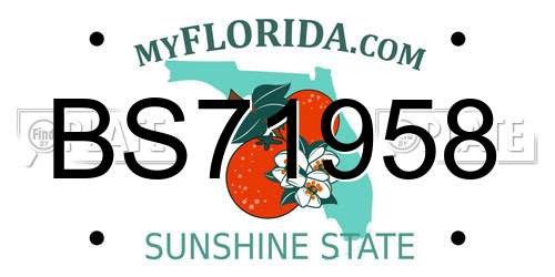BS71958 Florida License Plate