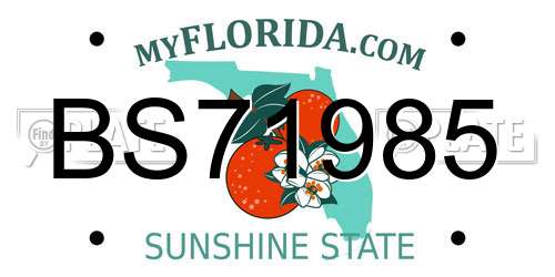 BS71985 Florida License Plate