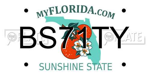 BS71TY Florida License Plate