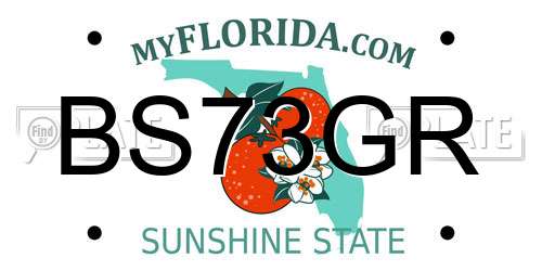 BS73GR Florida License Plate