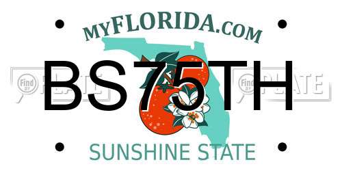BS75TH Florida License Plate