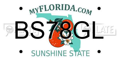 BS78GL Florida License Plate