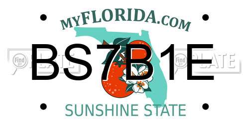 BS7B1E Florida License Plate