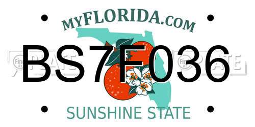 BS7F036 Florida License Plate