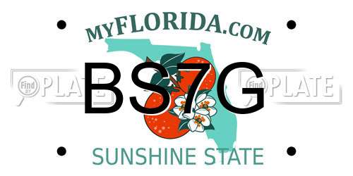 BS7G Florida License Plate