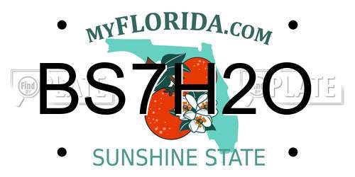 BS7H2O Florida License Plate