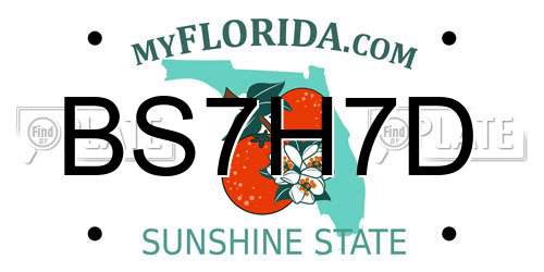 BS7H7D Florida License Plate
