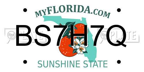 BS7H7Q Florida License Plate