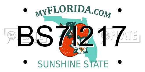 BS7I217 Florida License Plate