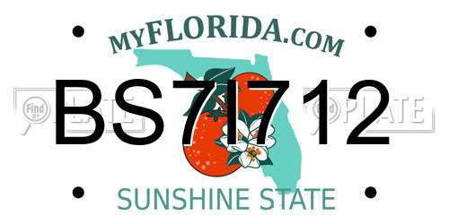 BS7I712 Florida License Plate