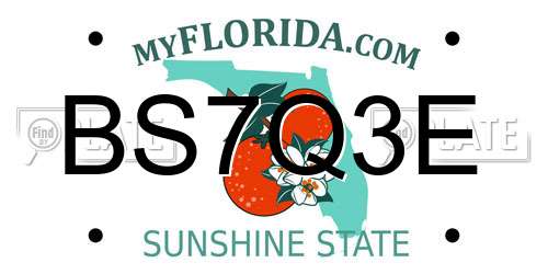 BS7Q3E Florida License Plate