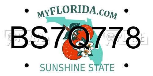 BS7Q778 Florida License Plate