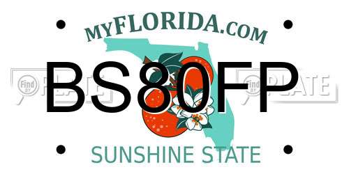 BS80FP Florida License Plate