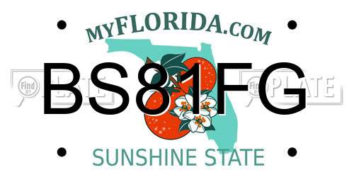 BS81FG Florida License Plate