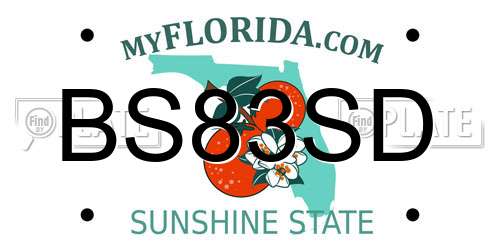 BS83SD Florida License Plate