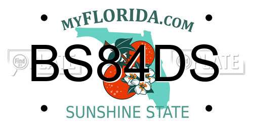 BS84DS Florida License Plate