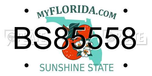 BS85558 Florida License Plate