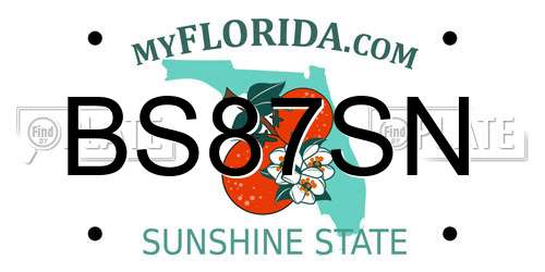 BS87SN Florida License Plate