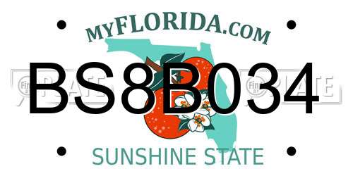 BS8B034 Florida License Plate