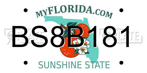 BS8B181 Florida License Plate
