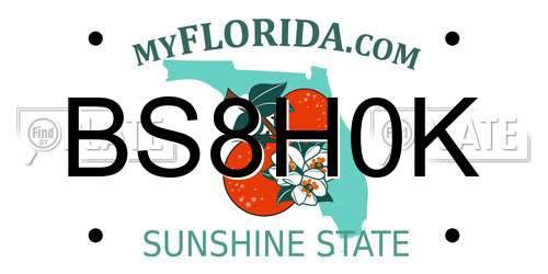 BS8H0K Florida License Plate