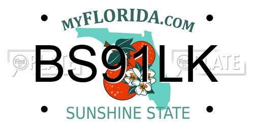 BS91LK Florida License Plate