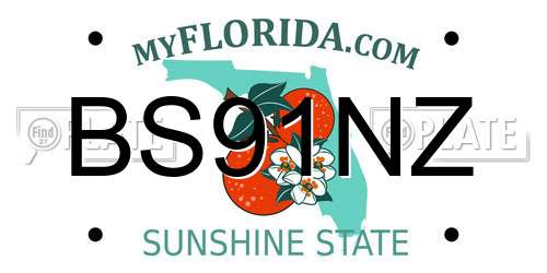BS91NZ Florida License Plate