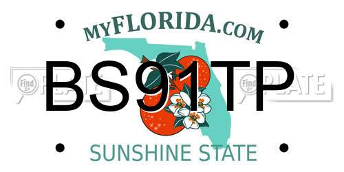BS91TP Florida License Plate