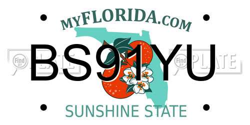 BS91YU Florida License Plate