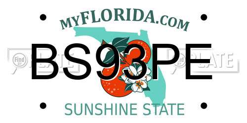 BS93PE Florida License Plate