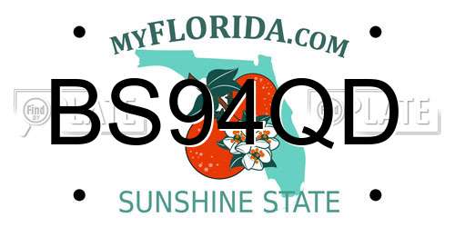 BS94QD Florida License Plate