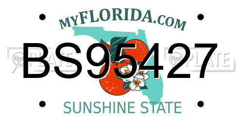 BS95427 Florida License Plate