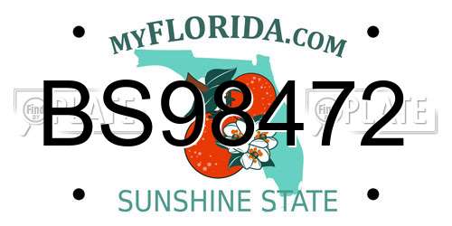 BS98472 Florida License Plate
